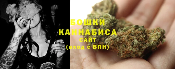 хмурый Сосновоборск