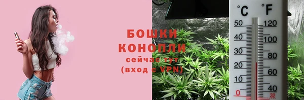 хмурый Сосновоборск