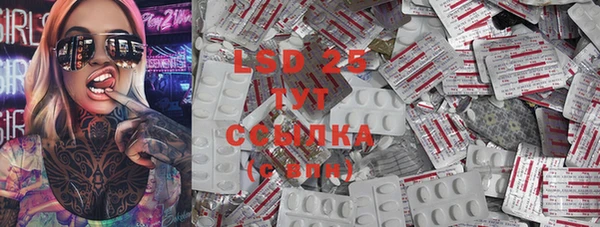 стафф Сосновый Бор