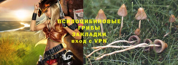 прущий лед Надым