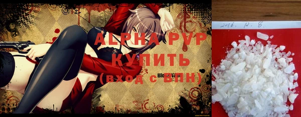 стафф Сосновый Бор