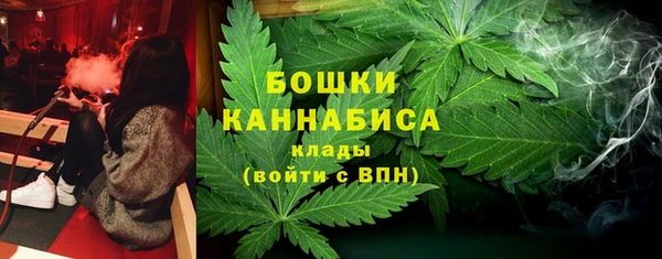стафф Сосновый Бор