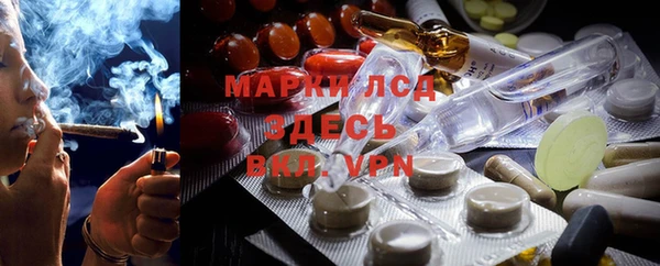 стафф Сосновый Бор