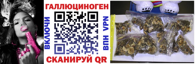 где найти наркотики Томмот MEGA ссылка Галлюциногенные грибы GOLDEN TEACHER